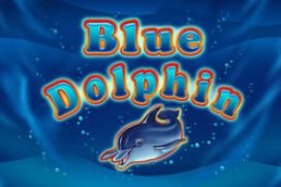 Blue Dolphin